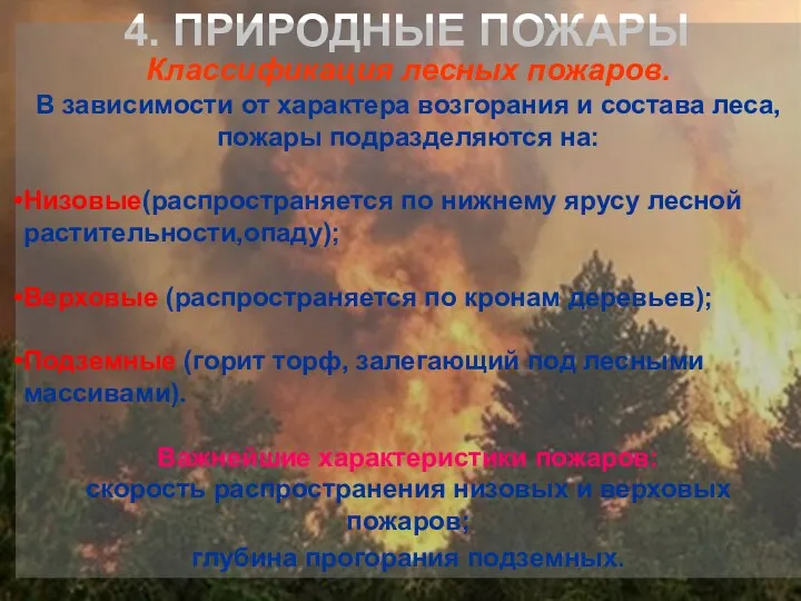 4. природные пожары 4. ПРИРОДНЫЕ ПОЖАРЫ Классификация лесных пожаров. В