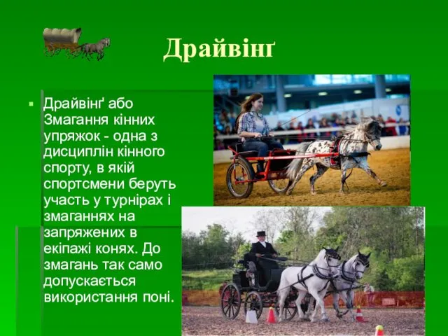 Драйвінґ Драйвінґ або Змагання кінних упряжок - одна з дисциплін