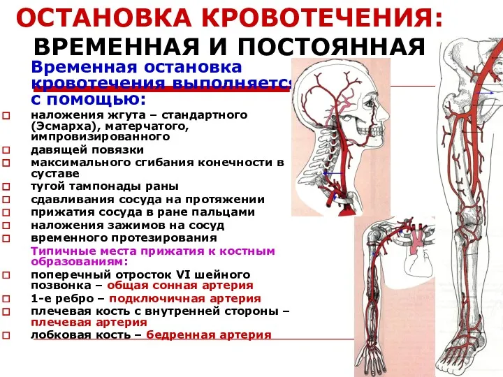 ОСТАНОВКА КРОВОТЕЧЕНИЯ: ВРЕМЕННАЯ И ПОСТОЯННАЯ Временная остановка кровотечения выполняется с