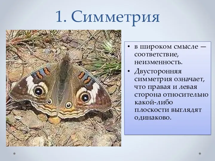 1. Симметрия в широком смысле — соответствие, неизменность. Двусторонняя симметрия