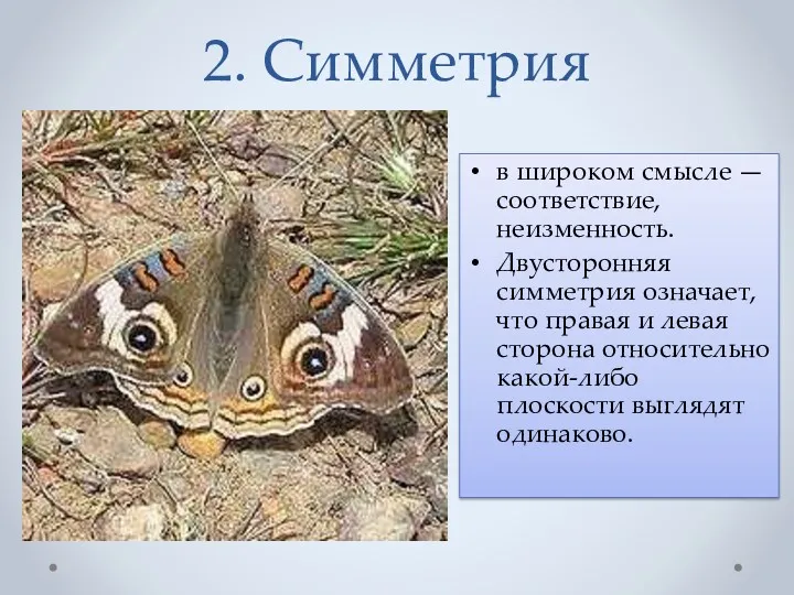 2. Симметрия в широком смысле — соответствие, неизменность. Двусторонняя симметрия