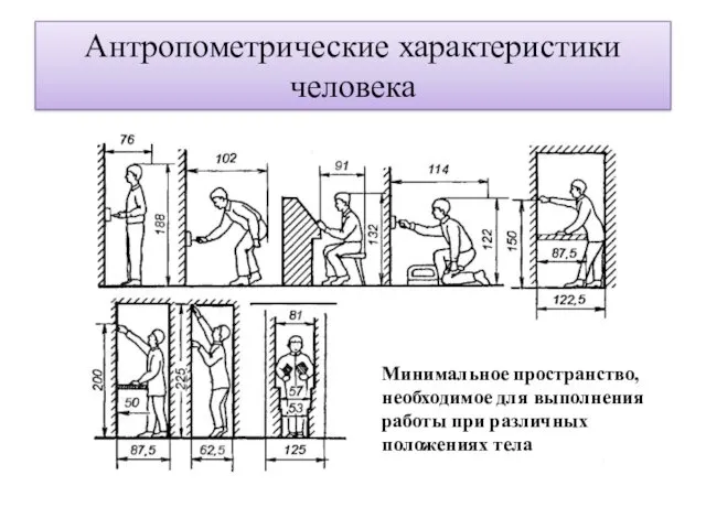 Антропометрические характеристики человека Минимальное пространство, необходимое для выполнения работы при различных положениях тела