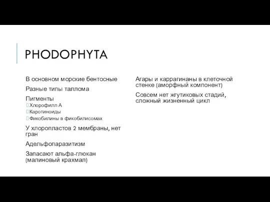 PHODOPHYTA В основном морские бентосные Разные типы таллома Пигменты Хлорофилл