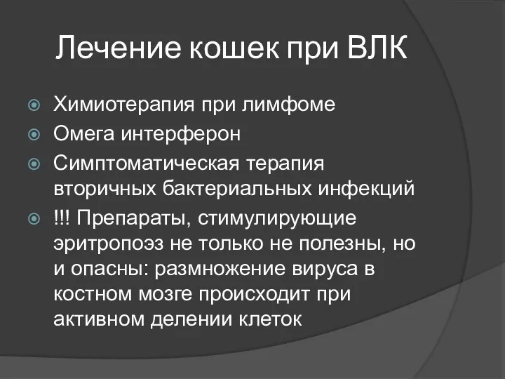 Лечение кошек при ВЛК Химиотерапия при лимфоме Омега интерферон Симптоматическая