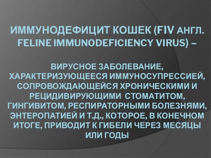 ИММУНОДЕФИЦИТ КОШЕК (FIV АНГЛ. FELINE IMMUNODEFICIENCY VIRUS) – ВИРУСНОЕ ЗАБОЛЕВАНИЕ,