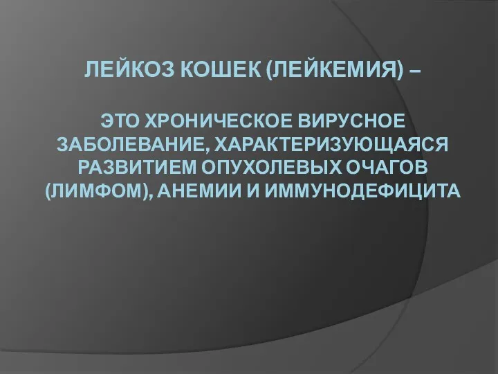 ЛЕЙКОЗ КОШЕК (ЛЕЙКЕМИЯ) – ЭТО ХРОНИЧЕСКОЕ ВИРУСНОЕ ЗАБОЛЕВАНИЕ, ХАРАКТЕРИЗУЮЩАЯСЯ РАЗВИТИЕМ ОПУХОЛЕВЫХ ОЧАГОВ (ЛИМФОМ), АНЕМИИ И ИММУНОДЕФИЦИТА