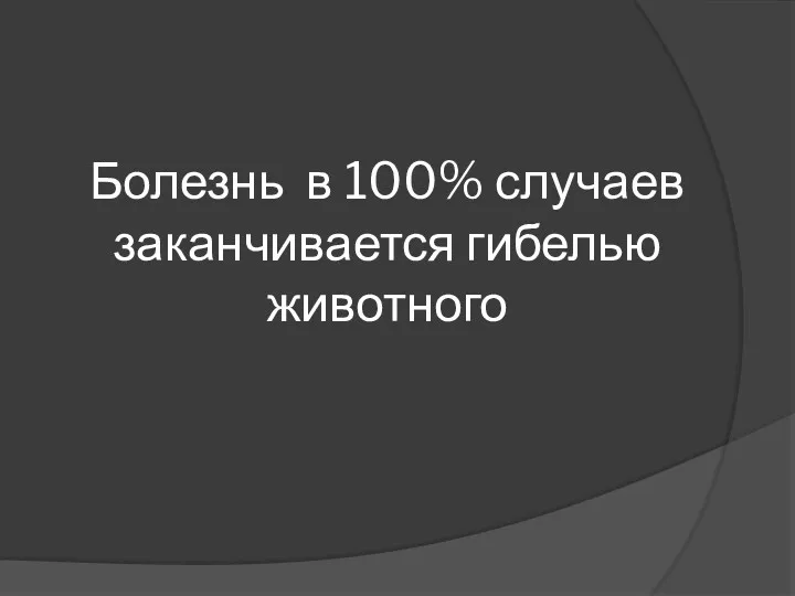 Болезнь в 100% случаев заканчивается гибелью животного