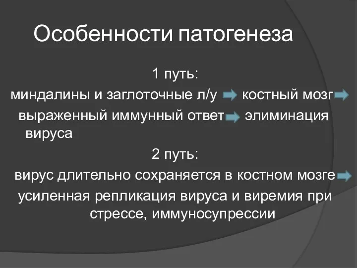 Особенности патогенеза 1 путь: миндалины и заглоточные л/у костный мозг