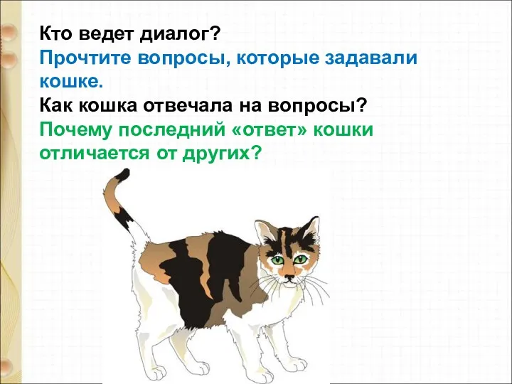 Кто ведет диалог? Прочтите вопросы, которые задавали кошке. Как кошка отвечала на вопросы?