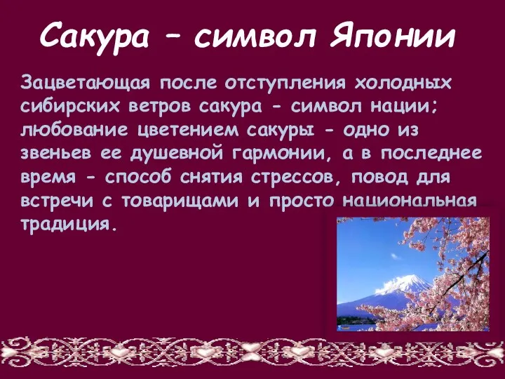 Сакура – символ Японии Зацветающая после отступления холодных сибирских ветров сакура - символ