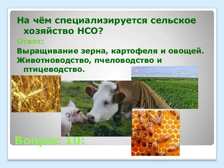 Вопрос 10: На чём специализируется сельское хозяйство НСО? Ответ: Выращивание