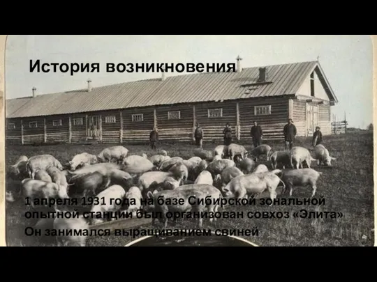 История возникновения 1 апреля 1931 года на базе Сибирской зональной