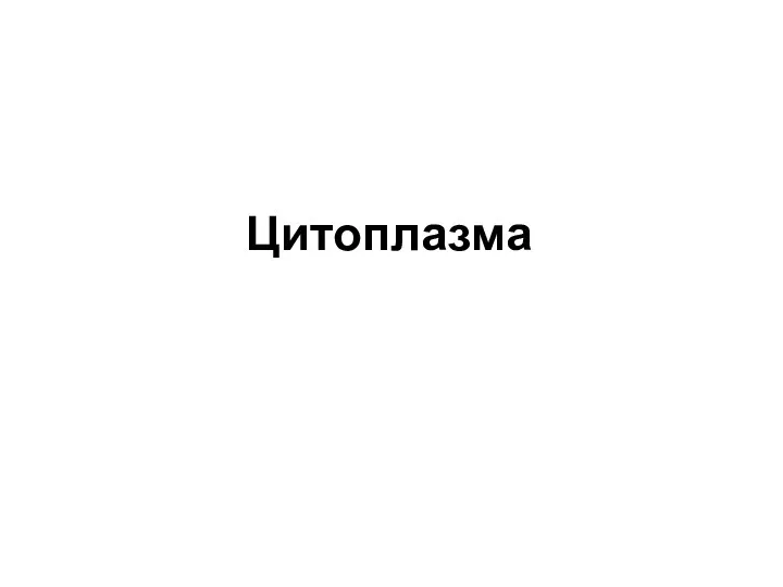 Цитоплазма