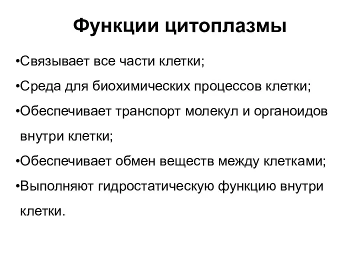 Функции цитоплазмы Связывает все части клетки; Среда для биохимических процессов