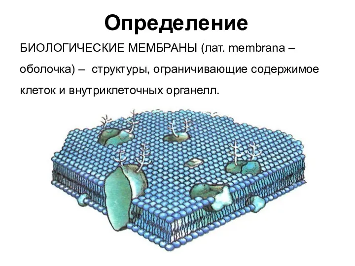 Определение БИОЛОГИЧЕСКИЕ МЕМБРАНЫ (лат. membrana – оболочка) – структуры, ограничивающие содержимое клеток и внутриклеточных органелл.