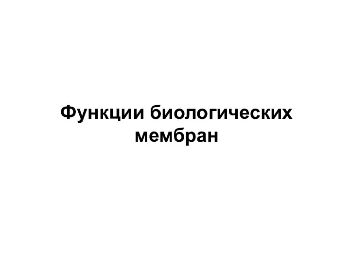 Функции биологических мембран