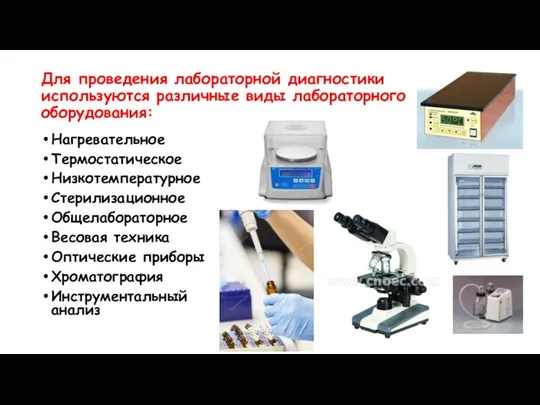 Для проведения лабораторной диагностики используются различные виды лабораторного оборудования: Нагревательное