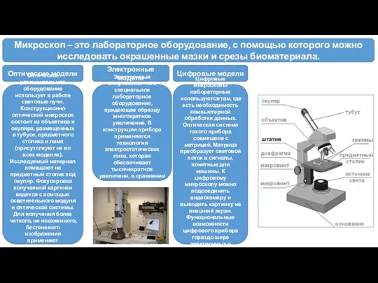 Микроскоп – это лабораторное оборудование, с помощью которого можно исследовать