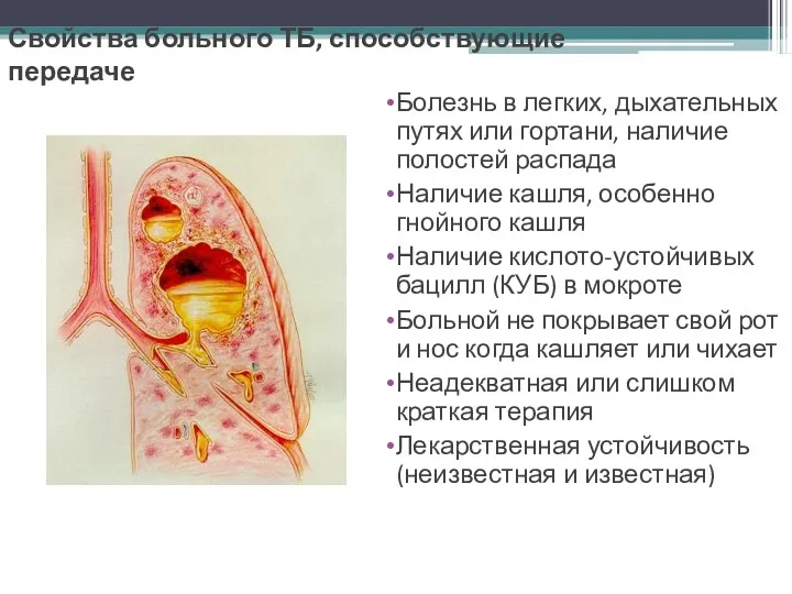 Свойства больного ТБ, способствующие передаче Болезнь в легких, дыхательных путях