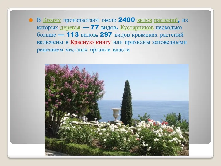 В Крыму произрастают около 2400 видов растений, из которых деревья
