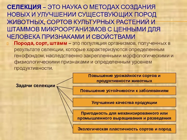 СЕЛЕКЦИЯ – ЭТО НАУКА О МЕТОДАХ СОЗДАНИЯ НОВЫХ И УЛУЧШЕНИИ