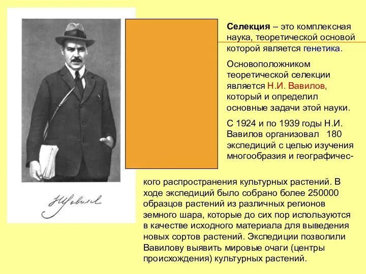 Селекция – это комплексная наука, теоретической основой которой является генетика.