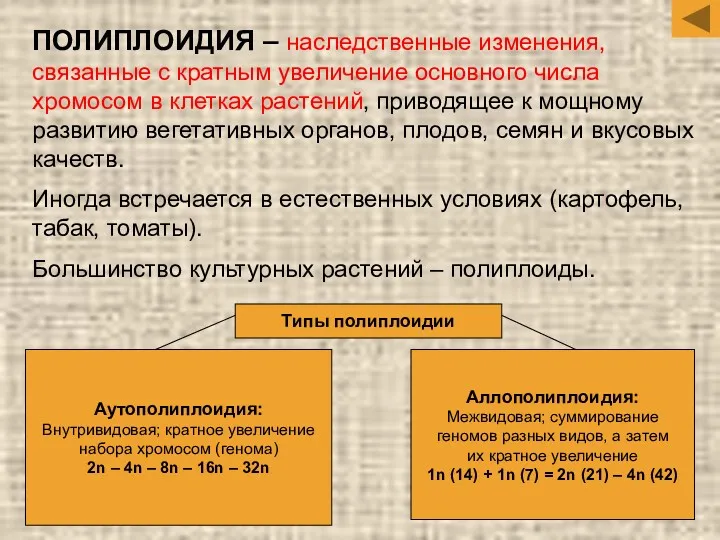 ПОЛИПЛОИДИЯ – наследственные изменения, связанные с кратным увеличение основного числа