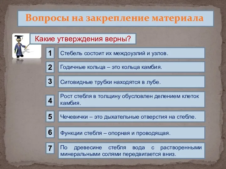 Вопросы на закрепление материала Какие утверждения верны? Стебель состоит их