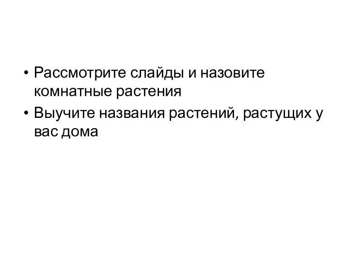 Рассмотрите слайды и назовите комнатные растения Выучите названия растений, растущих у вас дома