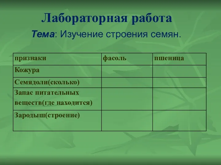 Лабораторная работа Тема: Изучение строения семян.