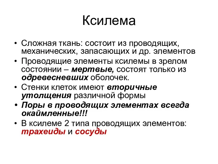 Ксилема Сложная ткань: состоит из проводящих, механических, запасающих и др.