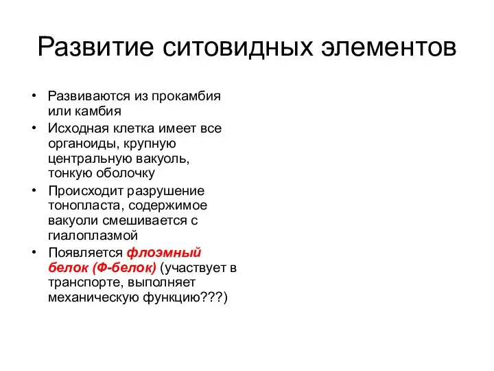 Развитие ситовидных элементов Развиваются из прокамбия или камбия Исходная клетка