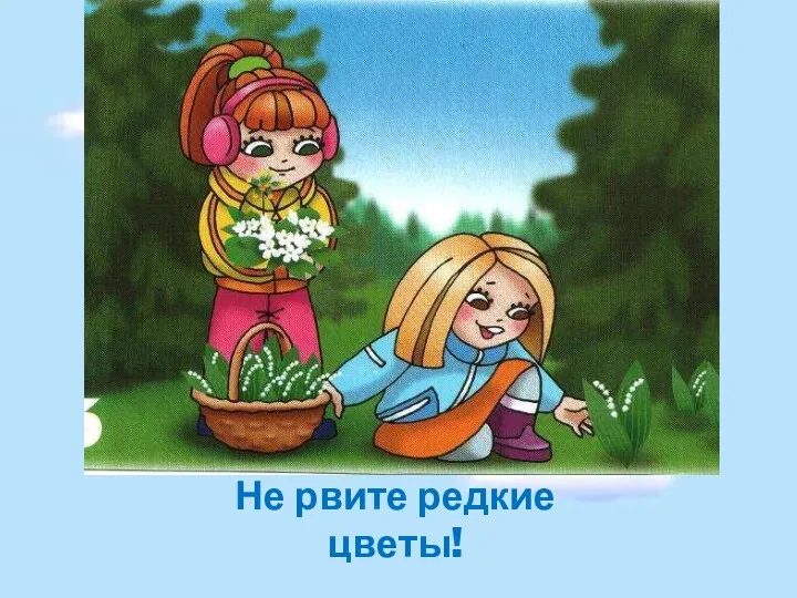 Не рвите редкие цветы!