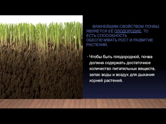 ВАЖНЕЙШИМ СВОЙСТВОМ ПОЧВЫ ЯВЛЯЕТСЯ ЕЁ ПЛОДОРОДИЕ, ТО ЕСТЬ СПОСОБНОСТЬ ОБЕСПЕЧИВАТЬ