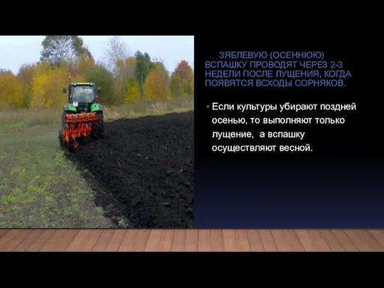 ЗЯБЛЕВУЮ (ОСЕННЮЮ) ВСПАШКУ ПРОВОДЯТ ЧЕРЕЗ 2-3 НЕДЕЛИ ПОСЛЕ ЛУЩЕНИЯ, КОГДА