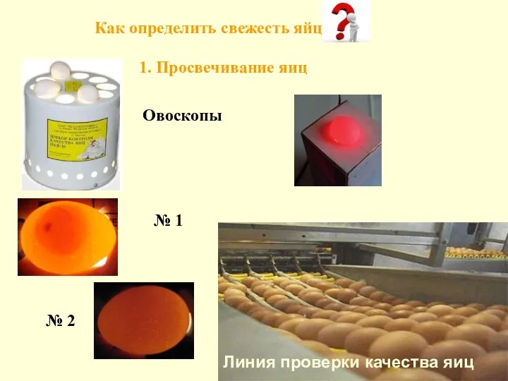 Овоскопы Линия проверки качества яиц Как определить свежесть яйца 1. Просвечивание яиц № 1 № 2