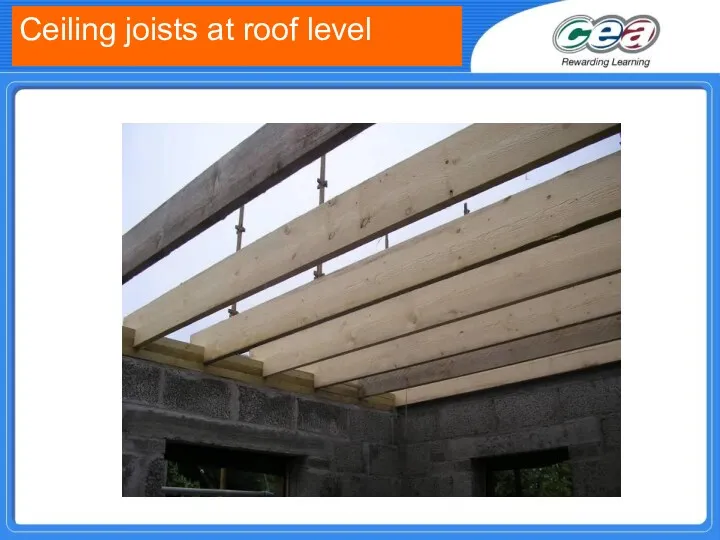 Ceiling joists at roof level