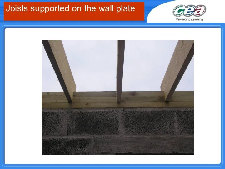Joists supported on the wall plate