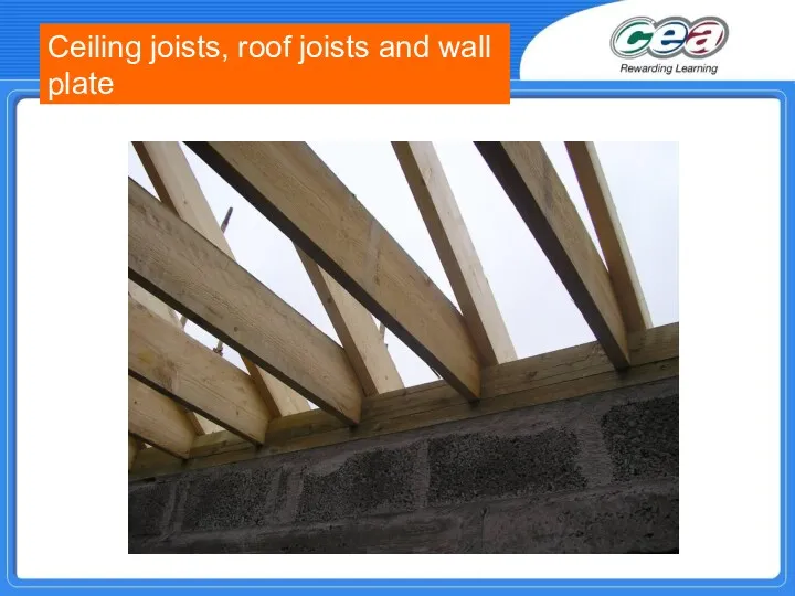 Ceiling joists, roof joists and wall plate