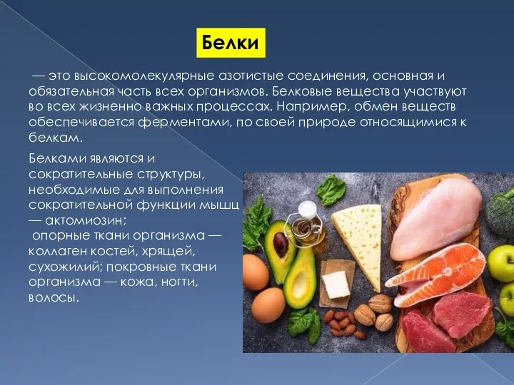 Белки — это высокомолекулярные азотистые соединения, основная и обязательная часть