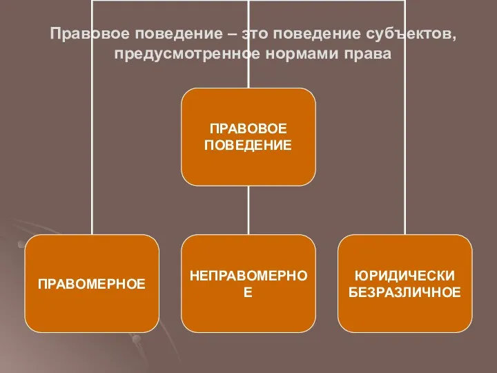 Правовое поведение – это поведение субъектов, предусмотренное нормами права