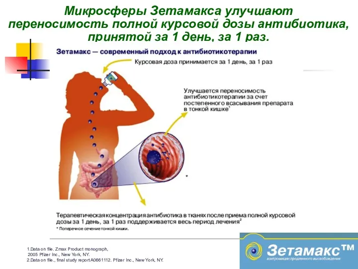 1.Data on file. Zmax Product monograph, 2005 Pfizer Inc., New