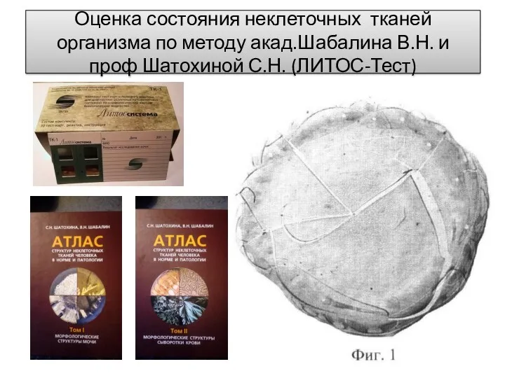 Оценка состояния неклеточных тканей организма по методу акад.Шабалина В.Н. и проф Шатохиной С.Н. (ЛИТОС-Тест)