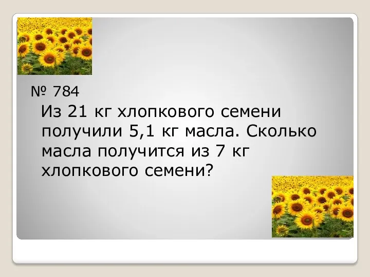 № 784 Из 21 кг хлопкового семени получили 5,1 кг