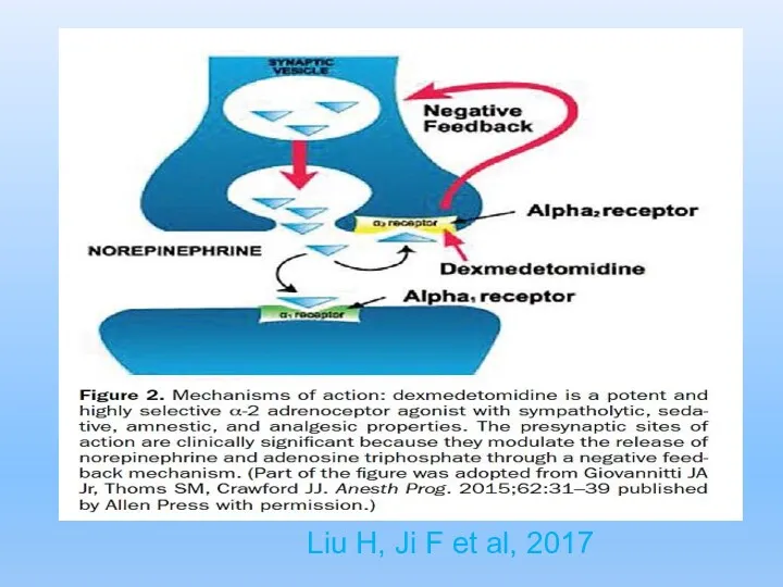 Liu H, Ji F et al, 2017