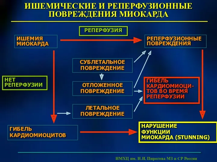 ИШЕМИЧЕСКИЕ И РЕПЕРФУЗИОННЫЕ ПОВРЕЖДЕНИЯ МИОКАРДА РЕПЕРФУЗИЯ РЕПЕРФУЗИОННЫЕ ПОВРЕЖДЕНИЯ НМХЦ им.