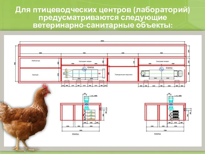 Для птицеводческих центров (лабораторий) предусматриваются следующие ветеринарно-санитарные объекты: