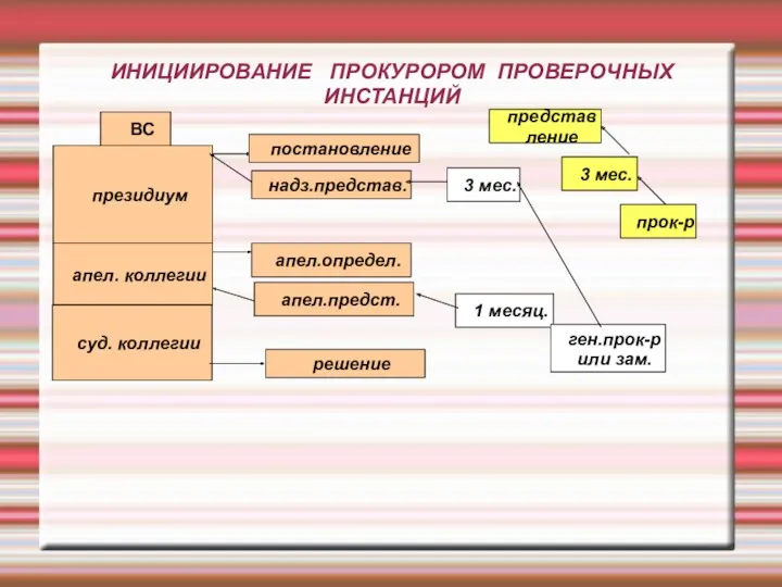 ИНИЦИИРОВАНИЕ ПРОКУРОРОМ ПРОВЕРОЧНЫХ ИНСТАНЦИЙ президиум ВС суд. коллегии 1 месяц.