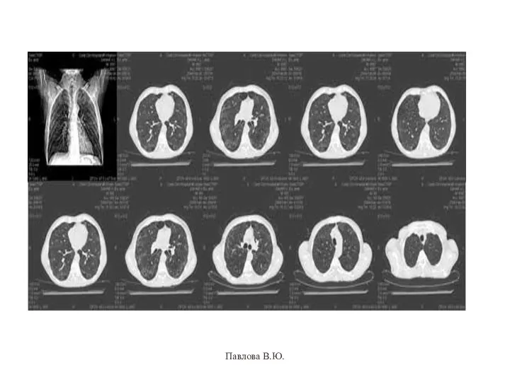 Павлова В.Ю.
