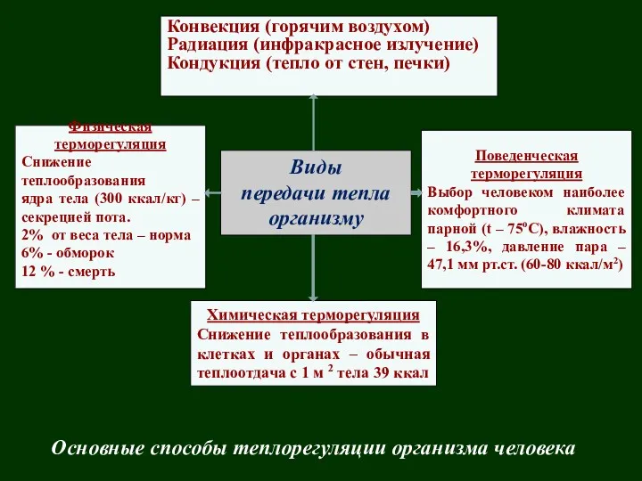 Виды передачи тепла организму Химическая терморегуляция Снижение теплообразования в клетках